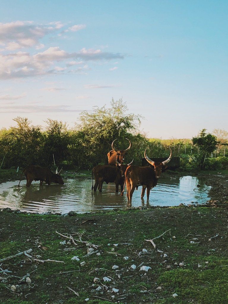 Processed with VSCO with j2 preset