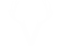 SALOON VENADO